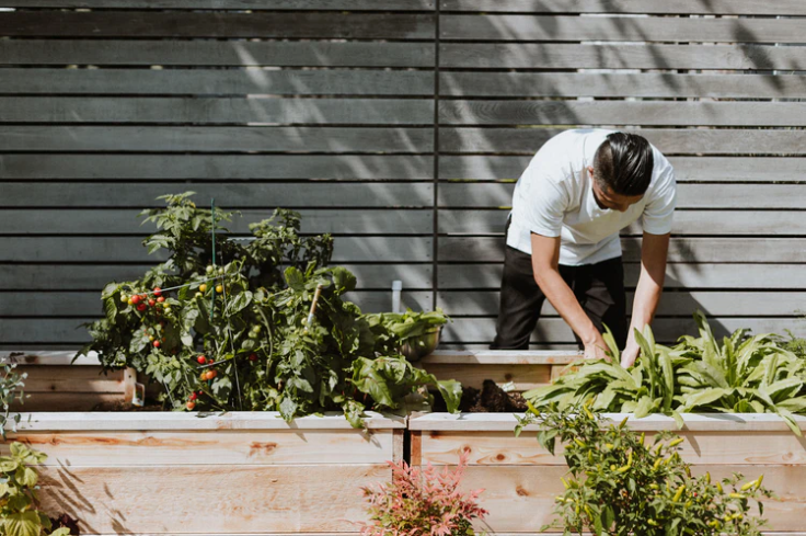 Fathers Day Garden Gift Ideas