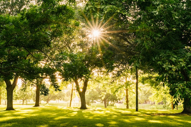Timeless teak furniture for Battersea Park