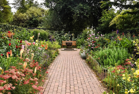 World Mental Health Day 2020 - Make Your Garden a Haven