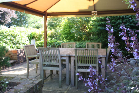 How to Encourage Wildlife into Your Garden