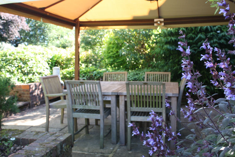 How to Encourage Wildlife into Your Garden