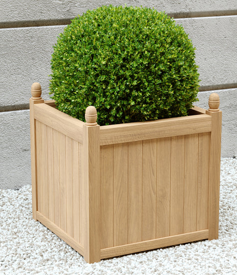 Teak Planters