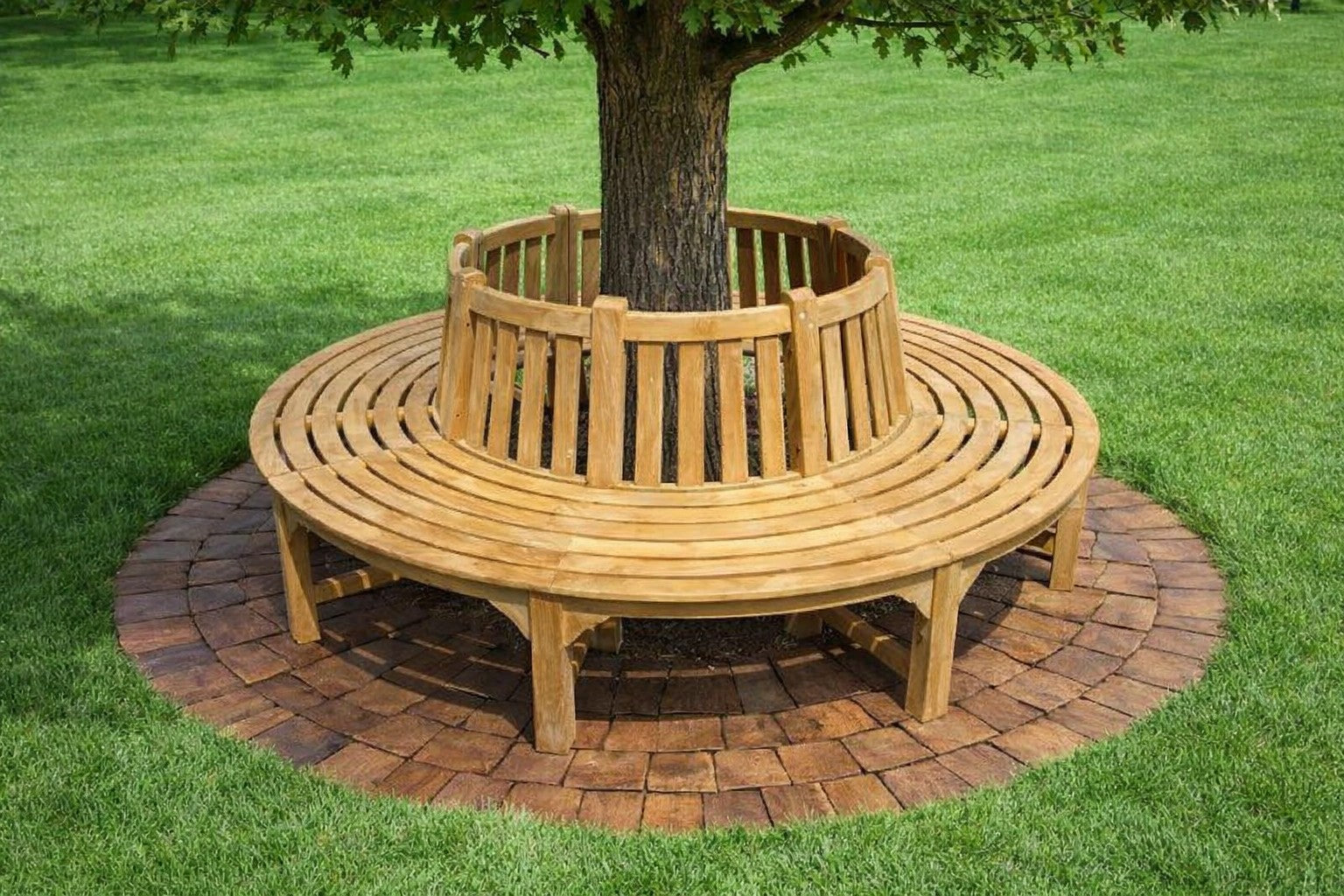 Circular Round Tree Bench on Lawn