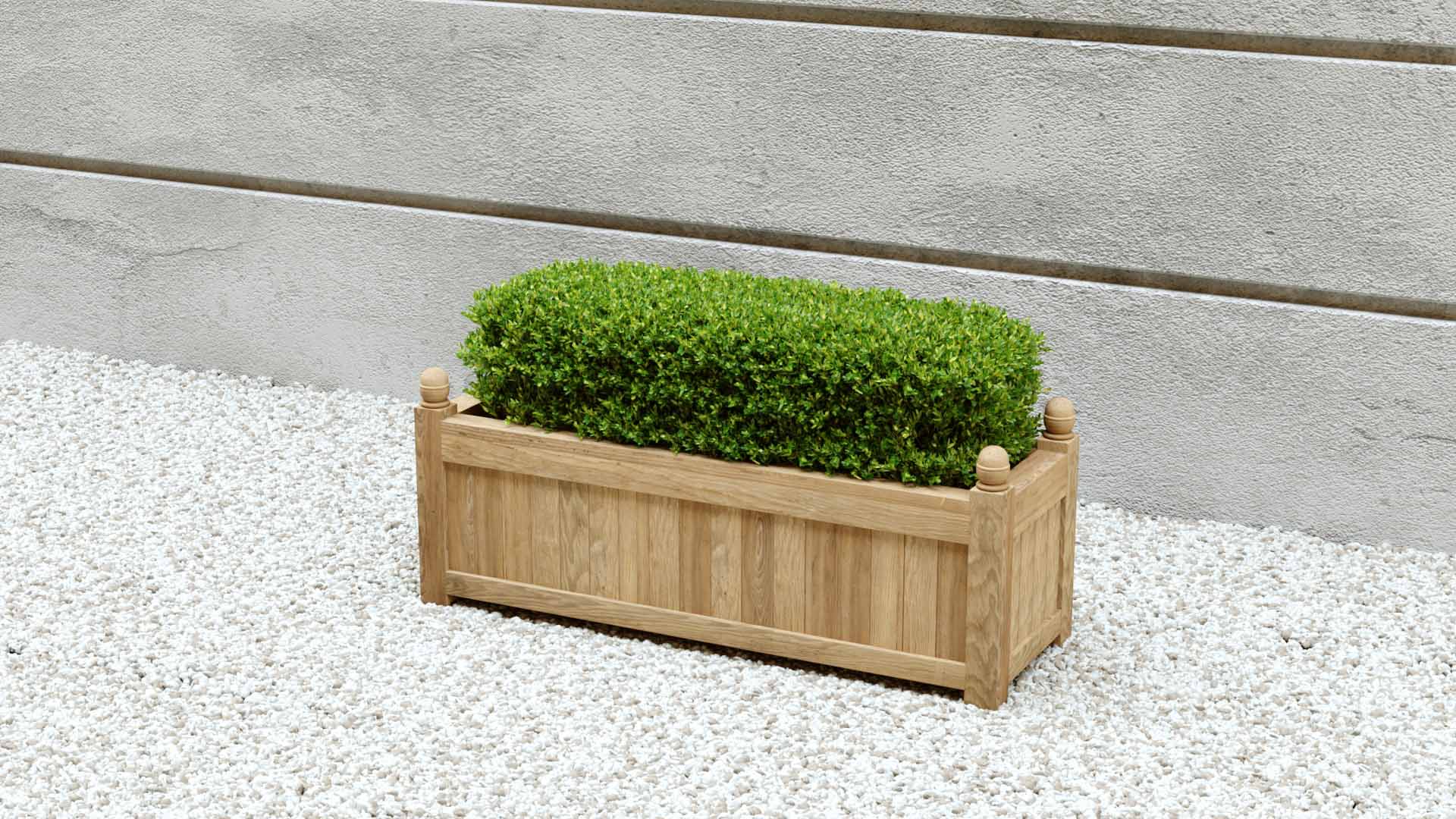 Rectangular Teak Planter Angled View