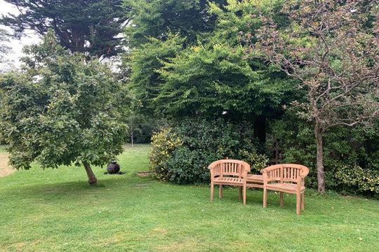 <p><a href="/products/gloucester-teak-companion-seat" target="_blank" title="Gloucester Teak Companion Seat">Gloucester Companion Seat </a></p>