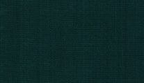 Green Colour Cushion Swatch for Adirondack Chair