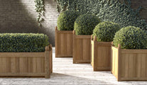 Teak Rectangular Planter Shown Alongside Our Square Planters