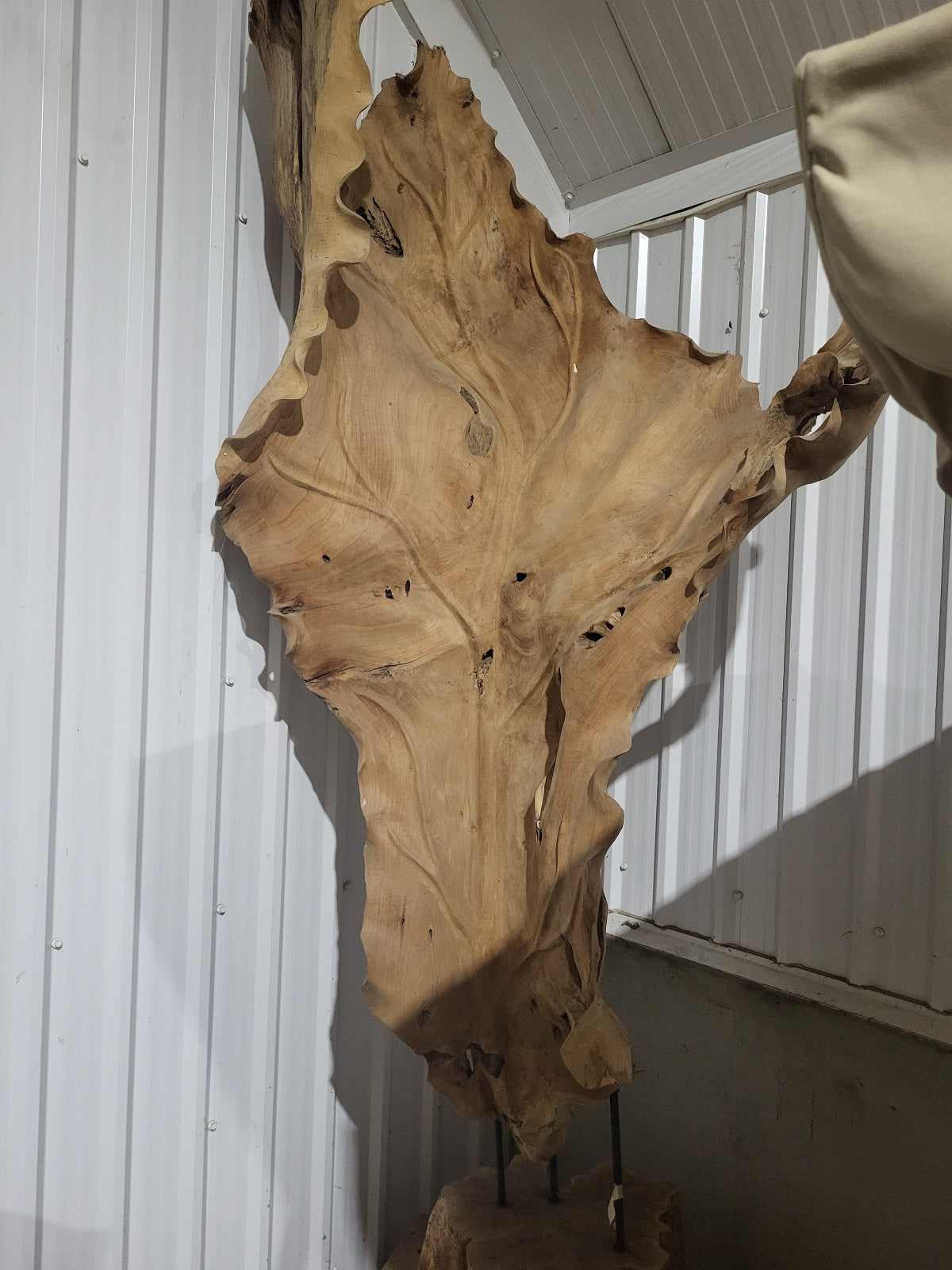 Teak Leaf Sculptures - NEW