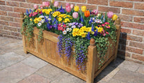 Rectangular Planter with Spring Flowers