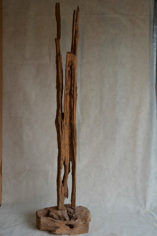 SALE - Teak Root Sculptures
