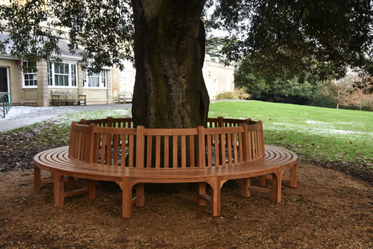 <p><a href="/products/circular-teak-tree-bench" target="_blank" title="Circular Teak Tree Bench">Tree Bench </a></p>