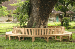 Bespoke Large Circular Teak Tree Bench